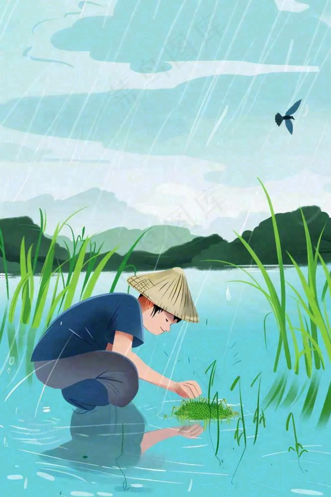 春耕农民种植水稻水田春雨燕子小满芒种春分卡通插画背景(896x1344)