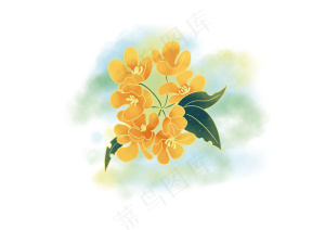 金黄的桂花