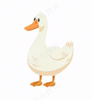 大白鸭鸭子牲畜动物卡通插画免抠