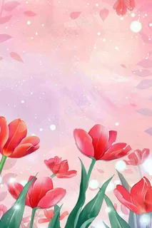 红色郁金香粉色背景浪漫七夕情人节插画背景
