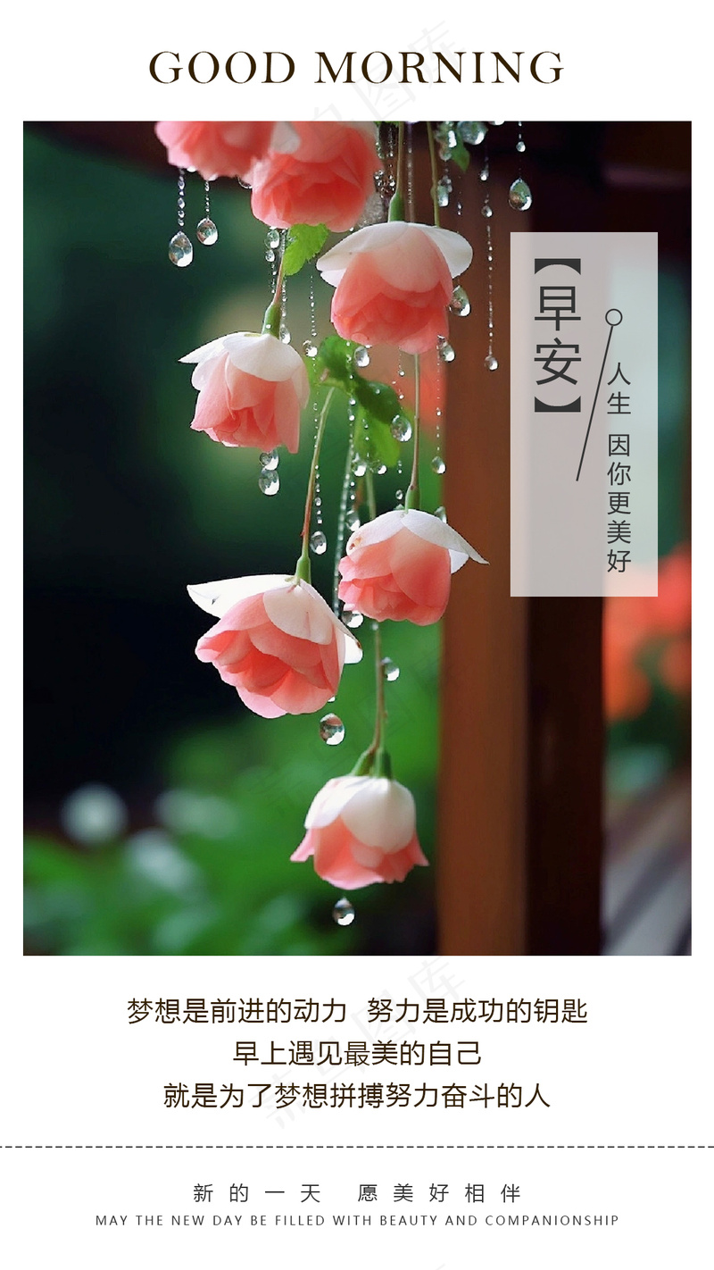 早安/遇见美好的自己