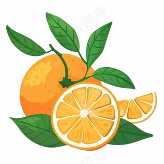 橘子橙子水果卡通插画免抠