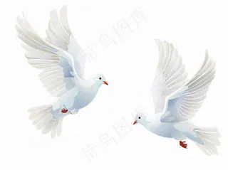飞鸽白鸽和平鸽鸟卡通插画免抠