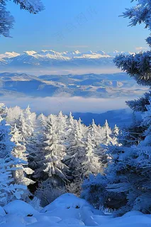 冬季森林雾凇山川摄影图