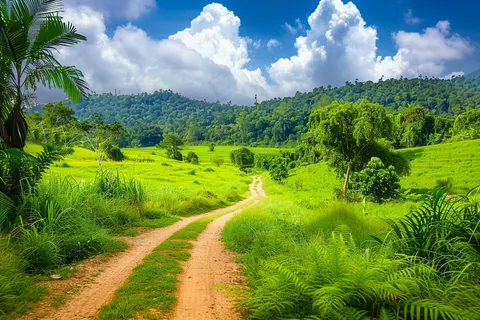 乡间山谷森林的小路摄影图 乡间山谷森林的小路摄影图