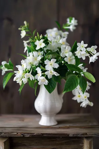 栀子花鲜花花瓶摄影图