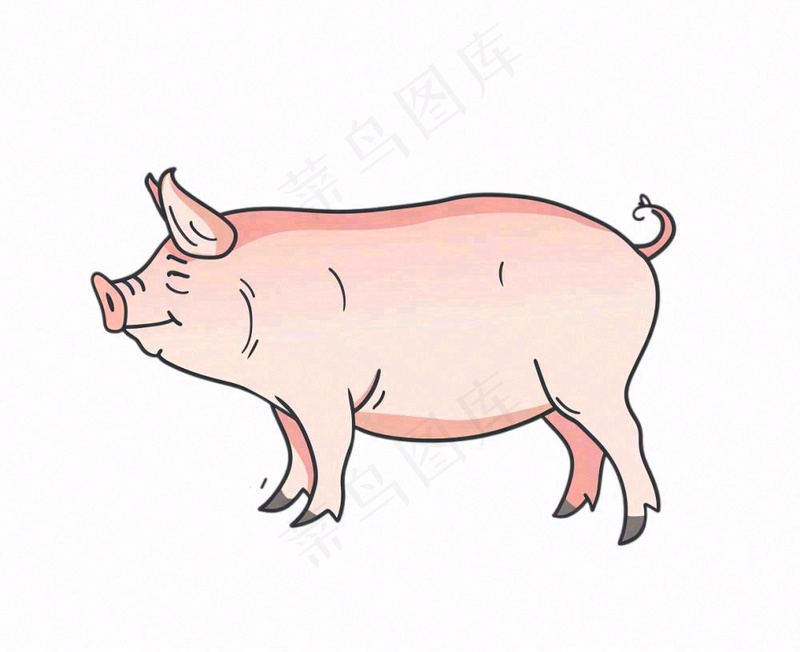 猪牲畜动物卡通插画免抠