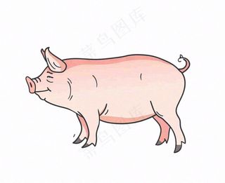 猪牲畜动物卡通插画免抠