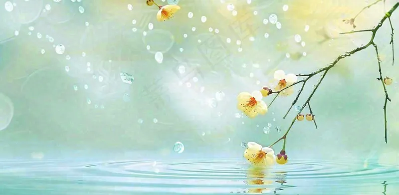 春天春暖花开梅雨季雨水谷雨黄花插画背景(1568x768)