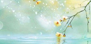 春天春暖花开梅雨季雨水谷雨黄花插画背景