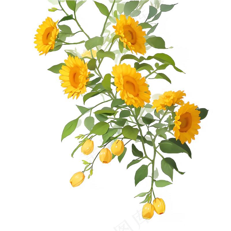 黄色 唯美 手绘 免抠 PNG 花 植物 素材22