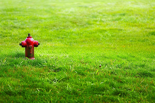 春天绿草地繁茂绿意摄影图