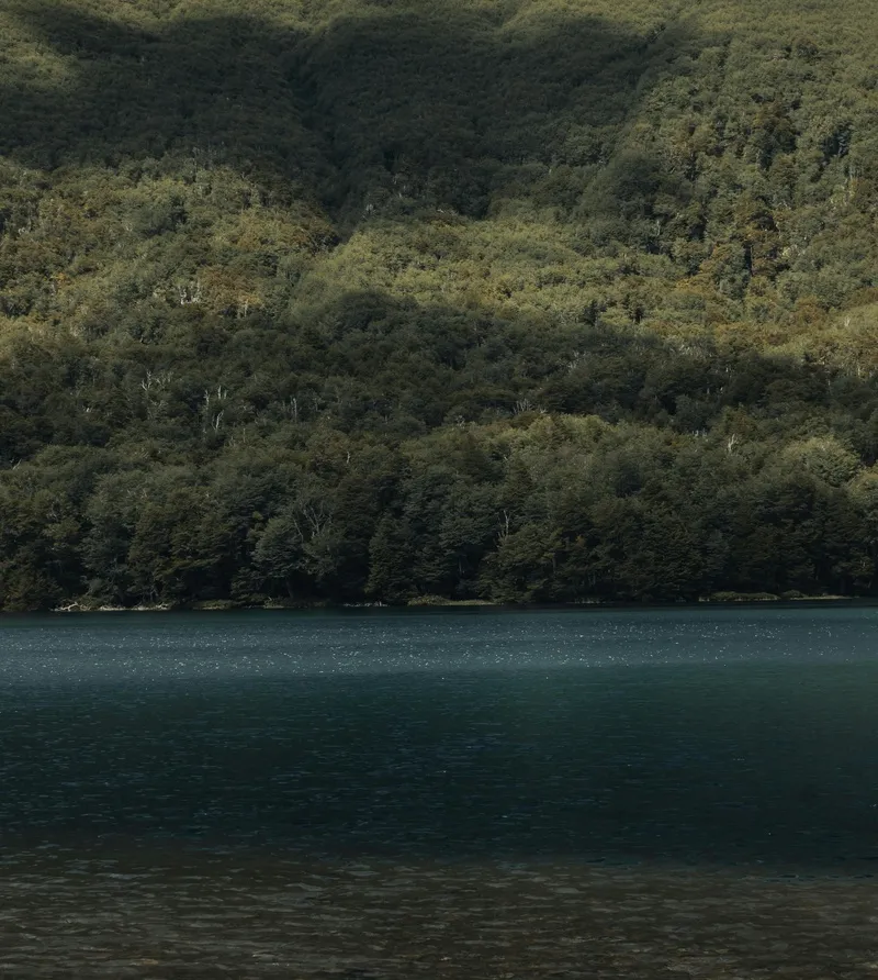 静谧深林 碧波涟漪