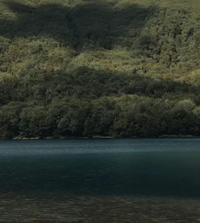 静谧深林 碧波涟漪