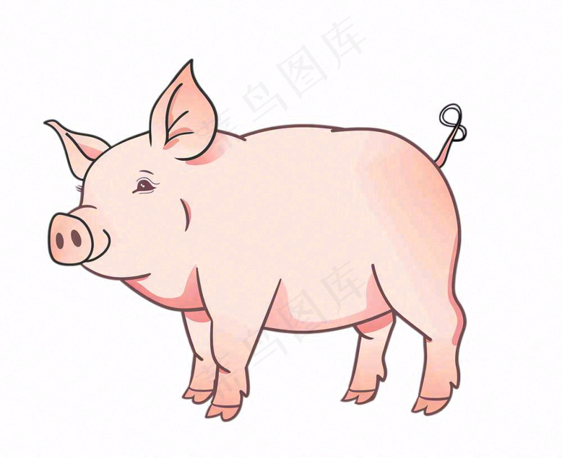 猪牲畜动物卡通插画免抠