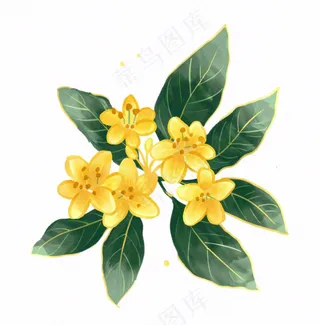 黄花桂花金秋绿叶卡通插画免抠