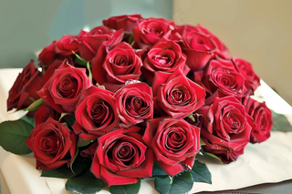 玫瑰花鲜花花朵摄影图