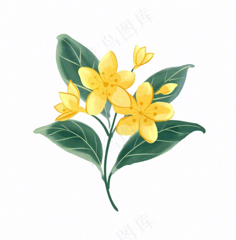 黄花桂花金秋绿叶卡通插画免抠(1024x1040)