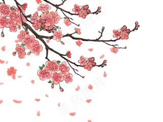 春天立春花插画