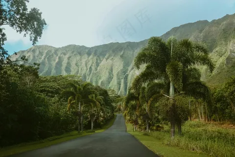 山谷中的宁静小路