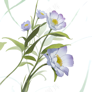 白色手绘兰花植物免抠素材09