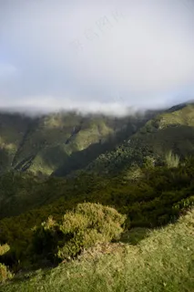云雾缭绕的山脉与绿色植被 云雾缭绕的山脉与绿色植被