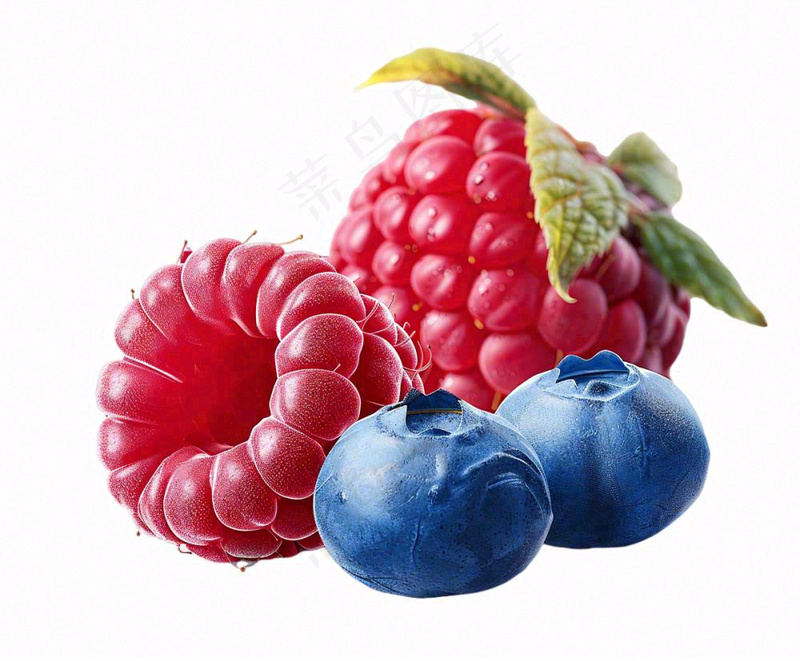 树莓蓝莓水果实物免抠