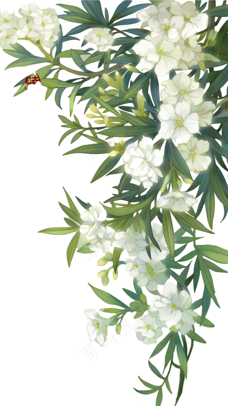 右边花和植物素材免扣