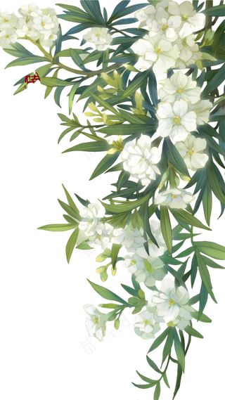 右边花和植物素材免扣