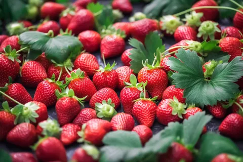 草莓水果摄影图