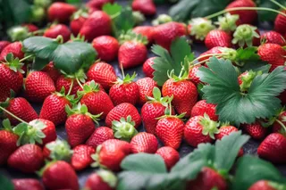 草莓水果摄影图