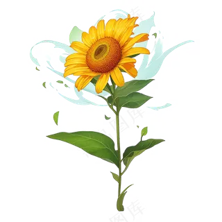 黄色向日葵免抠素材24