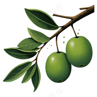 免抠绿色卡通手绘橄榄树枝