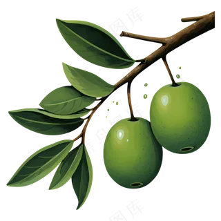 免抠绿色卡通手绘橄榄树枝
