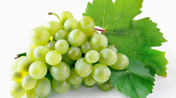 葡萄水果摄影图 葡萄水果摄影图