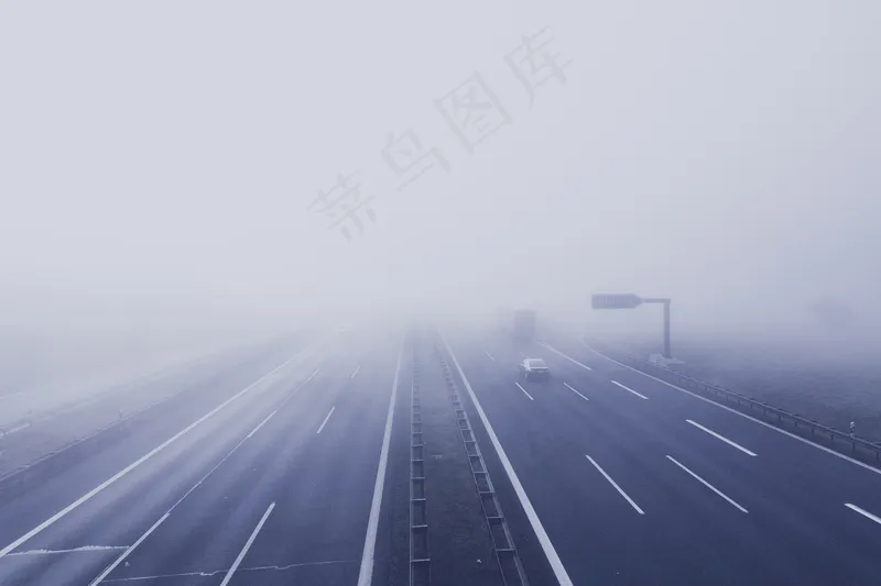 云雾森林图片
