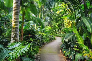 山林森林绿色大自然风景摄影图