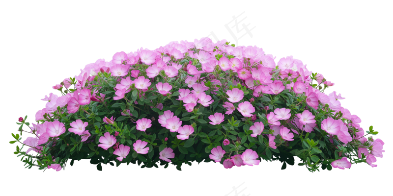 免抠开花灌木