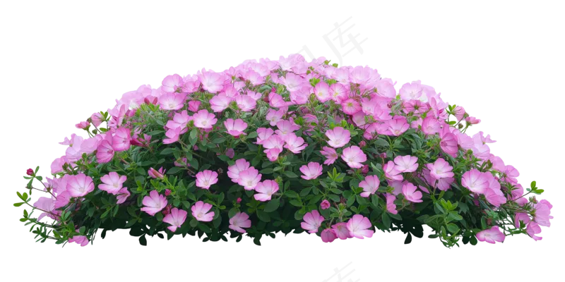 免抠开花灌木