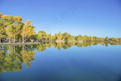 胡杨林图片 胡杨林图片