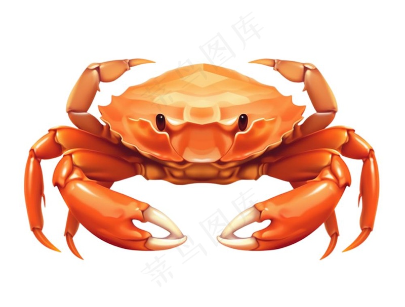 螃蟹卡通插画免抠(1264x960)