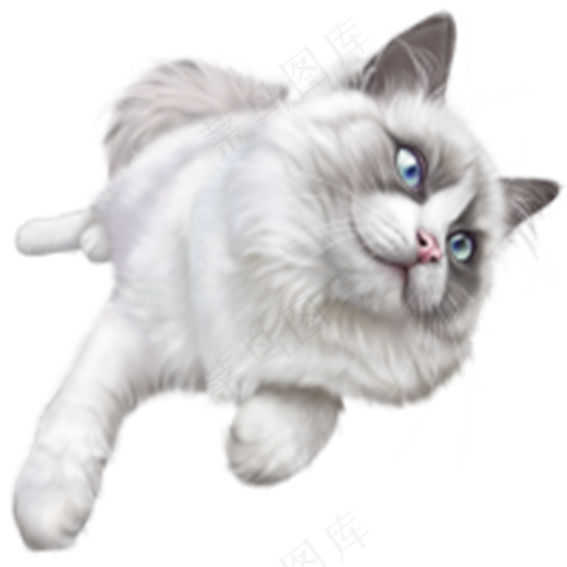 小猫咪2 catpsd模版下载