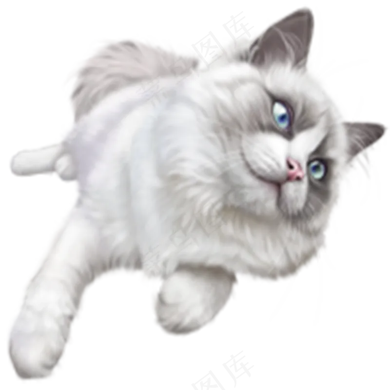 小猫咪2 catpsd模版下载