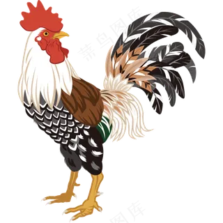 免抠卡通的大公鸡