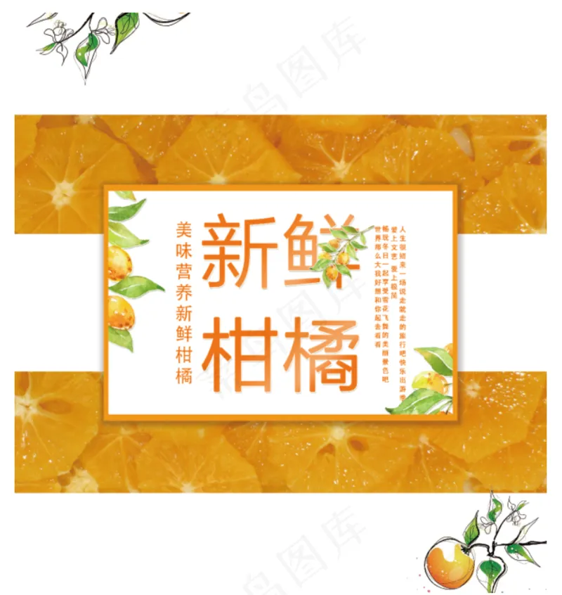 新鲜柑橘包装设计文件素材psd模版下载