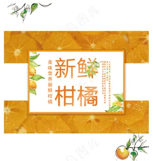 新鲜柑橘包装设计文件素材