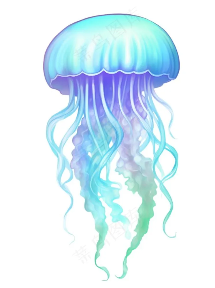 水母海洋海鲜蓝紫色梦幻卡通插画免抠(944x1264)