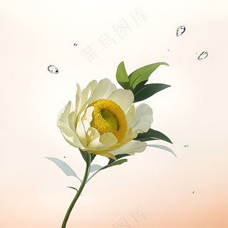 白色黄色手绘新中式风格花植物172