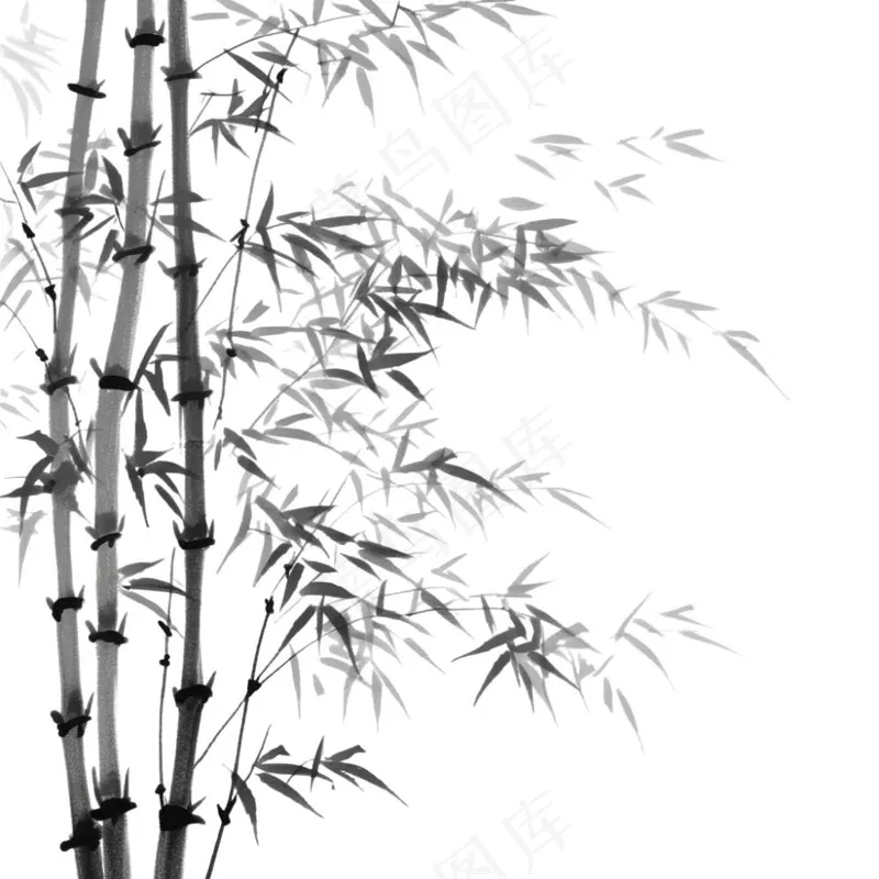 竹林竹叶水墨画古风黑白插画免抠(1024x1024)