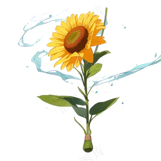 黄色向日葵免抠素材61